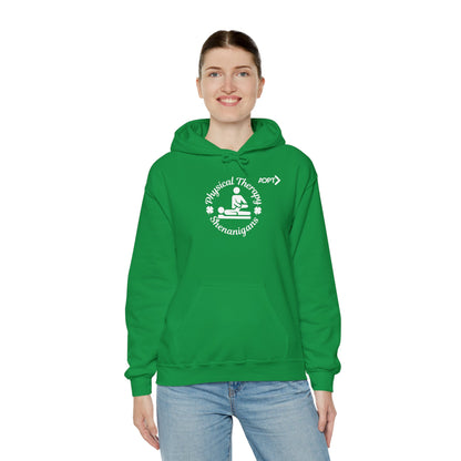 PT Shenanigans Hoodie