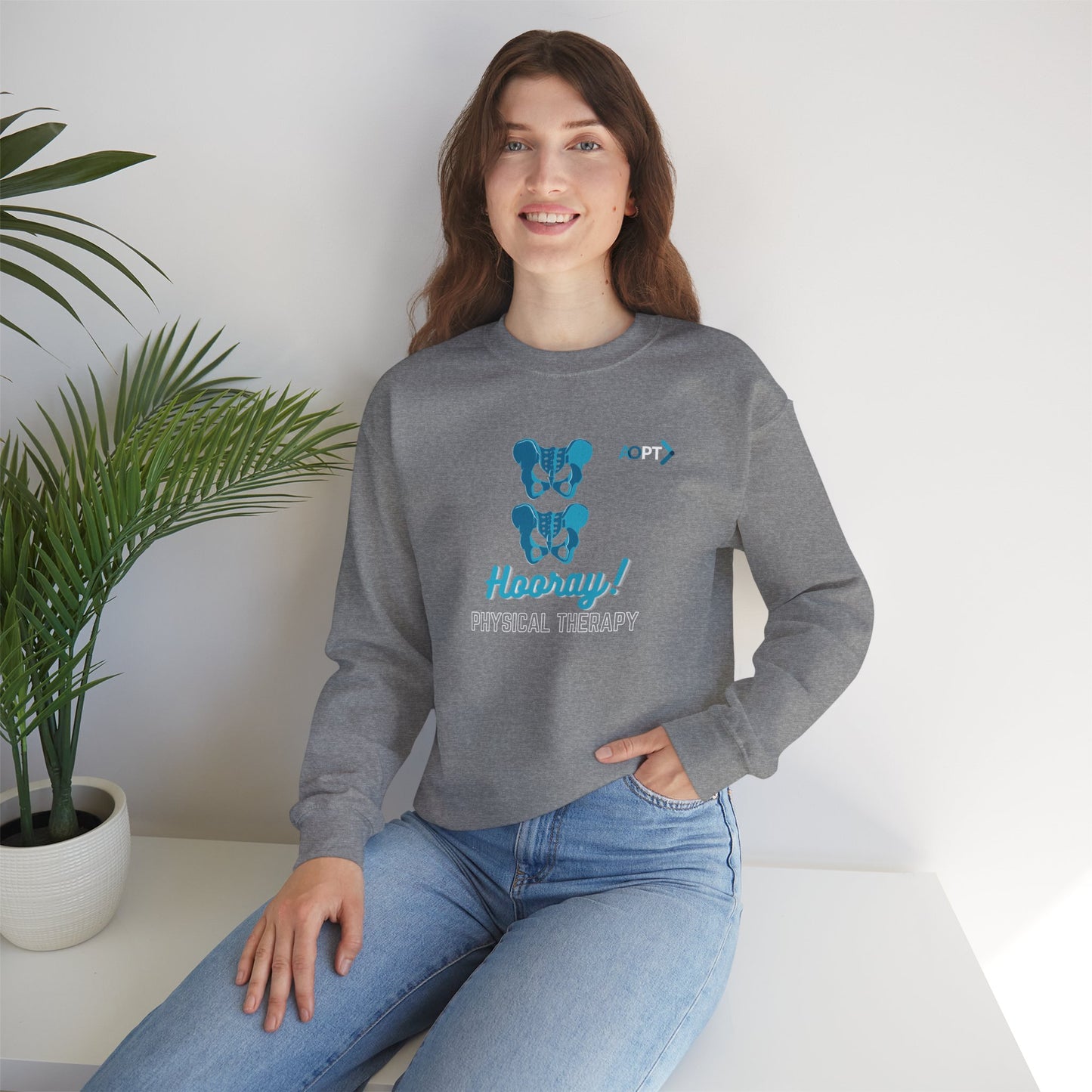 Hip Hip Hooray PT Sweatshirt