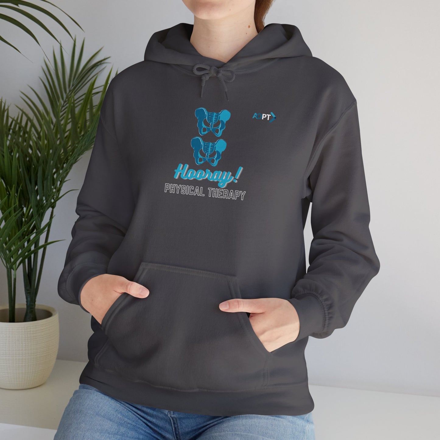 Hip Hip Hooray PT Hoodie