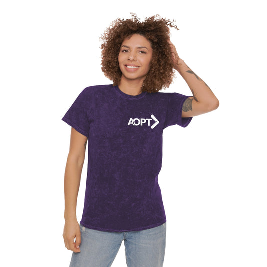 AOPT Mineral Wash T-Shirt (Logo on Back)