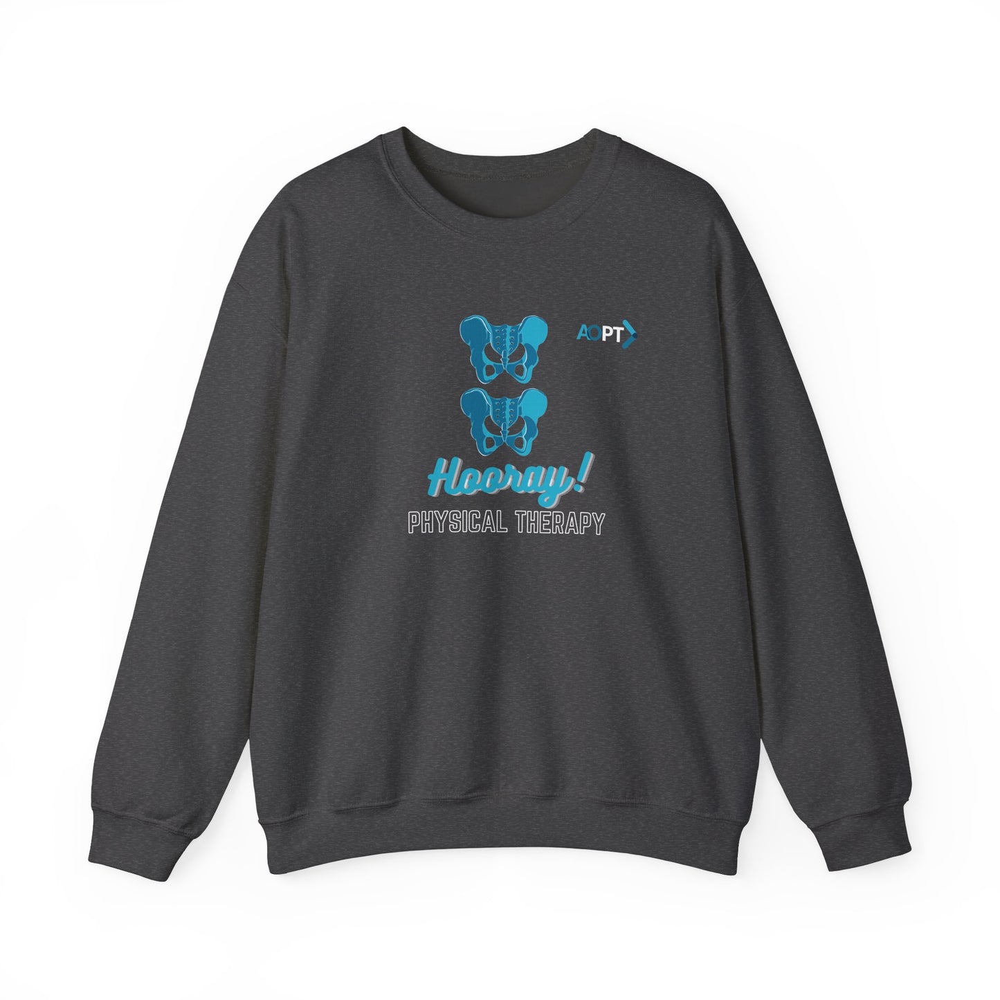 Hip Hip Hooray PT Sweatshirt