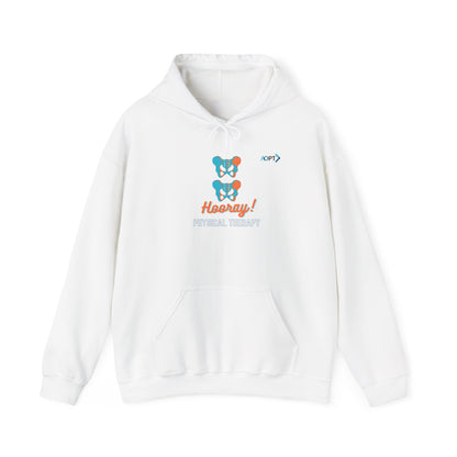 Hip Hip Hooray PT Hoodie