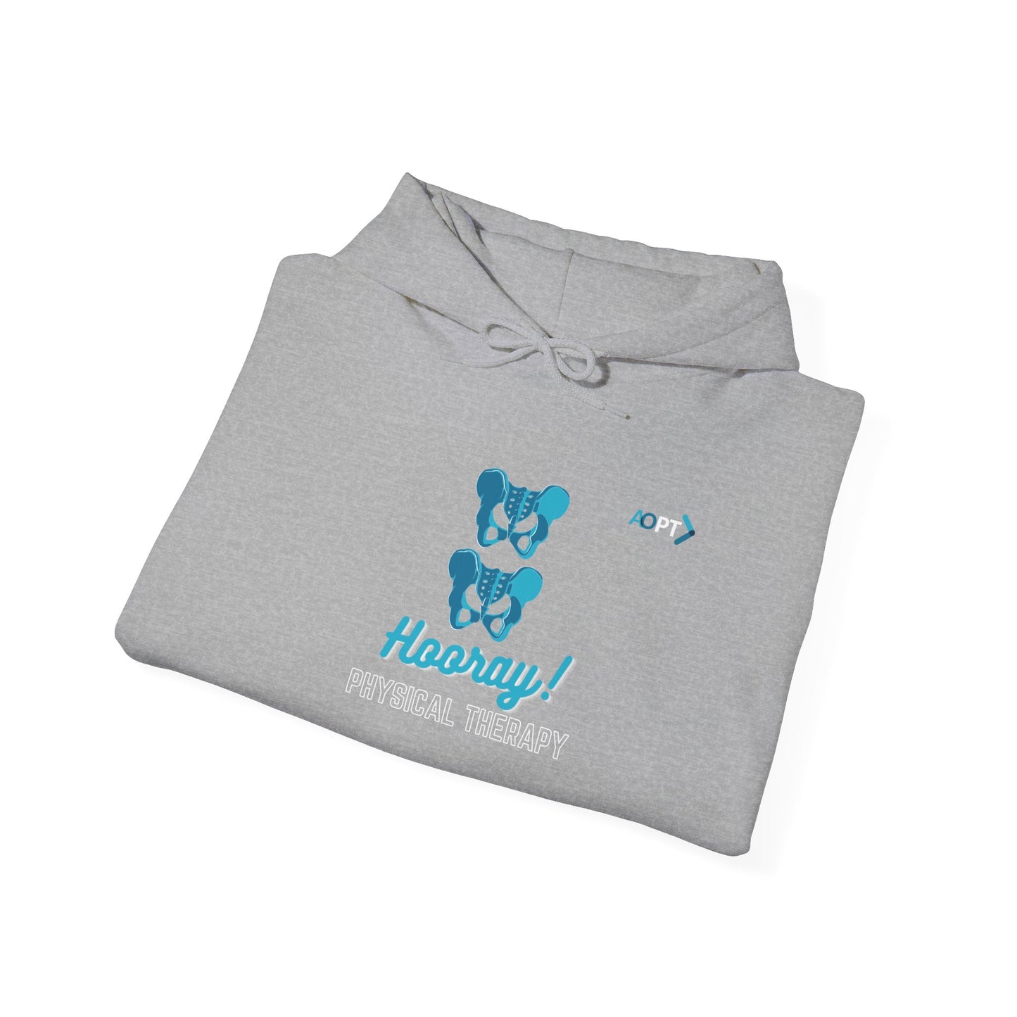 Hip Hip Hooray PT Hoodie