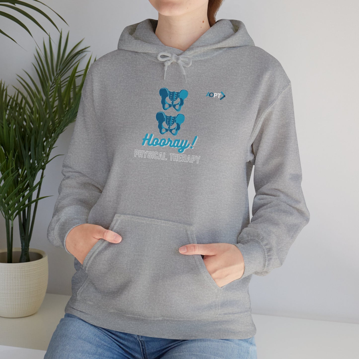 Hip Hip Hooray PT Hoodie