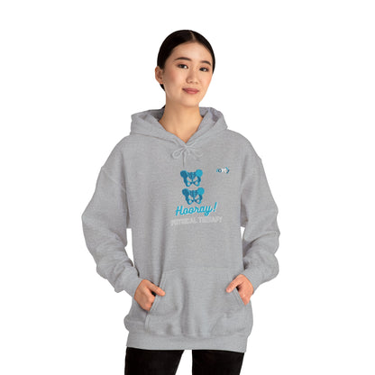 Hip Hip Hooray PT Hoodie