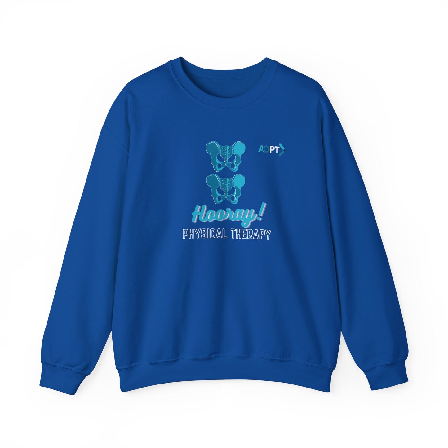 Hip Hip Hooray PT Sweatshirt