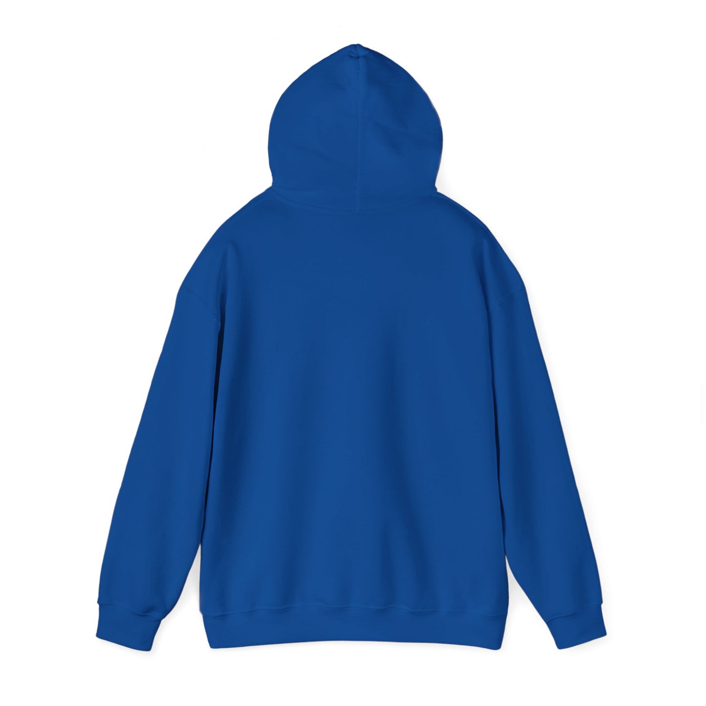 AOPT Hoodie