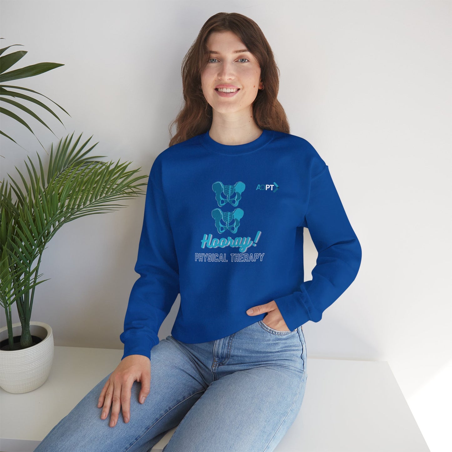 Hip Hip Hooray PT Sweatshirt